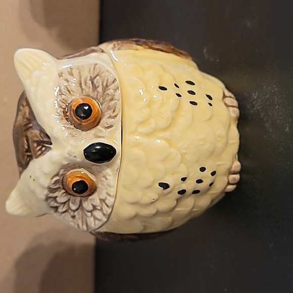 Vintage Owl Creamer, Sugar Jar, Salt & Pepper Shaker Set - Picture 2 of 16